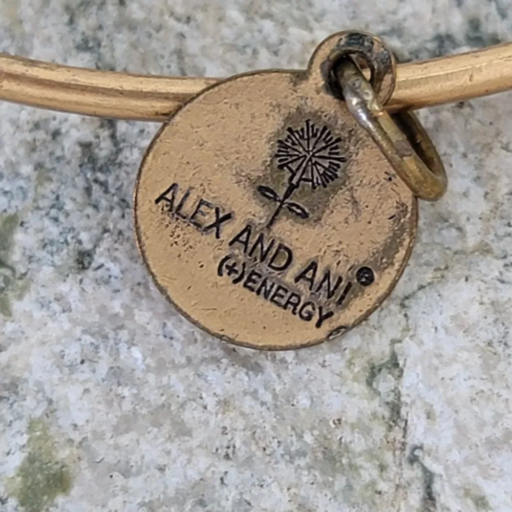 Alex and ani set of 2 energy infused bracelets